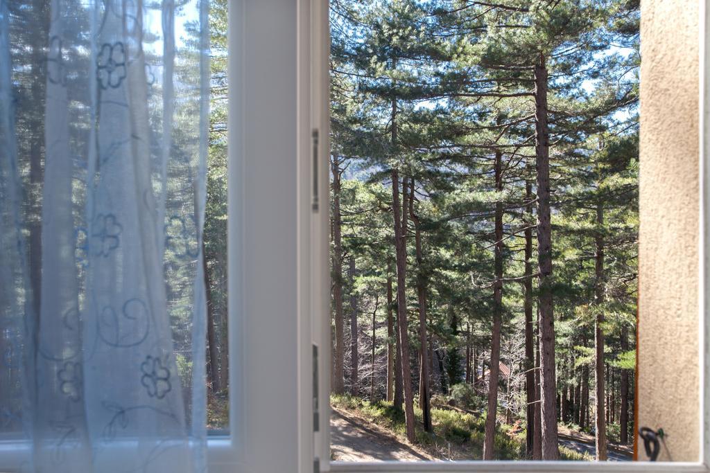 Casa Alta Bed & Breakfast Vizzavona Bilik gambar